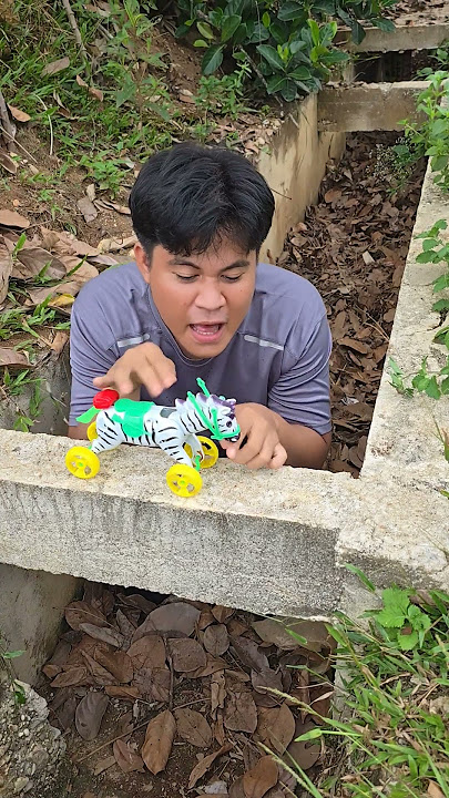 Kudanya Gigit #shorts #cat #kucing #kucinglucu #funny #trending #subscribe #comedy