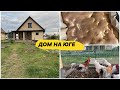 Цены на мандарины и яблоки в Краснодарском крае/ Продали двух петушков