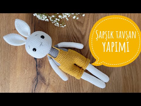 Video: Mini Rex Tavşanı