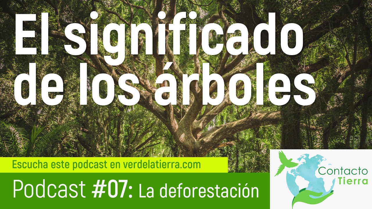El significado de los árboles Contacto Tierra Podcast 07 YouTube