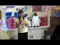 おんな泣き港(永井みゆき)cover 容子 概要欄その他に歌詞が出ます!