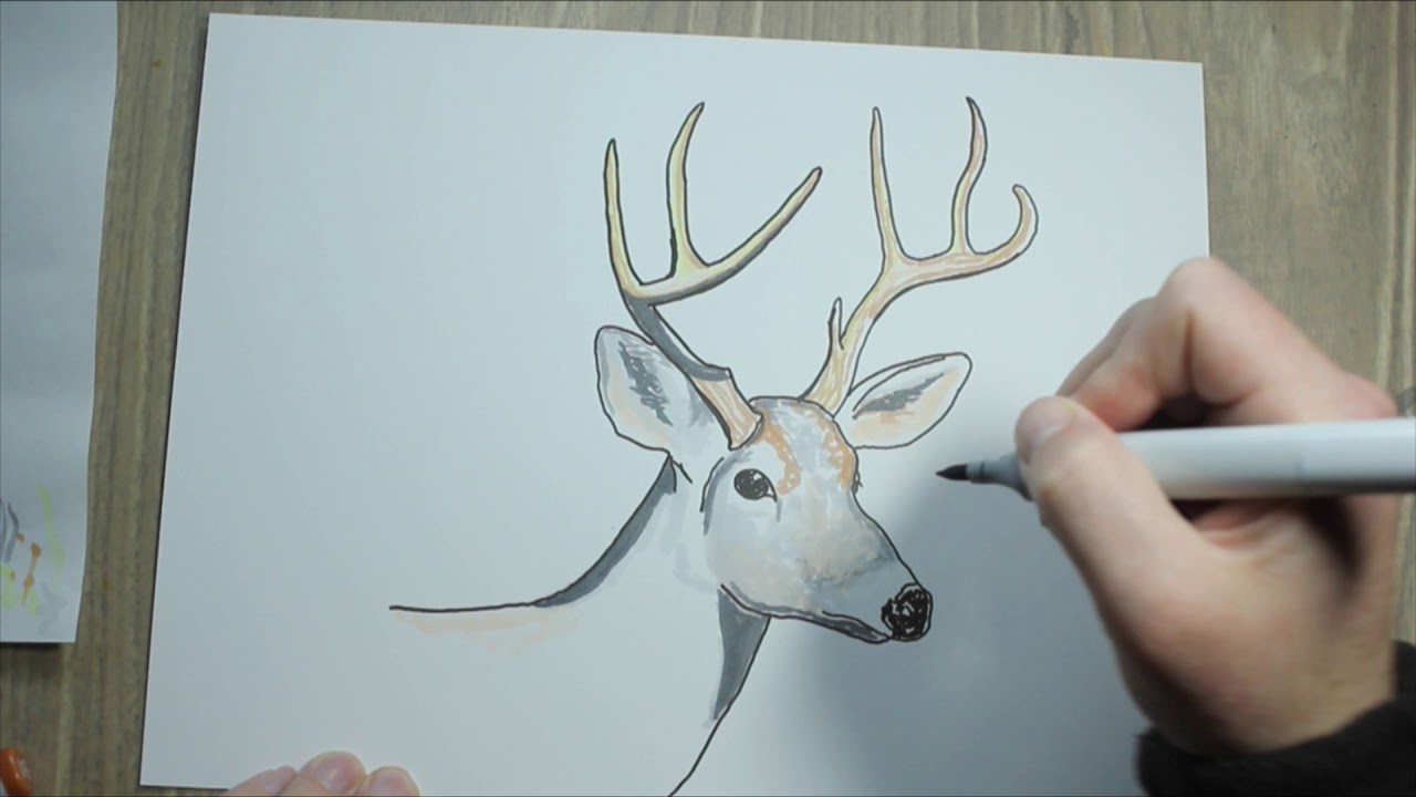 Drawing a Deer Head (with Deer Hunting Stories) - YouTube