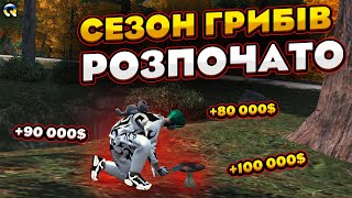 картинка: Робота Грибником На Квант РП | Найкращий Заробіток Quant RP | Розіграш 200к