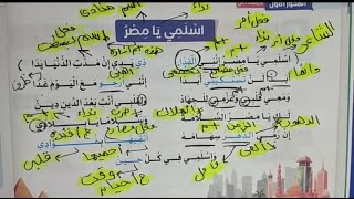 نص اسلمي يا مصر 🌹 للصف الرابع قراءة النص+شرحه+المعاني+بعض الظواهر+كلمات على نفس الوزن+تدريبات عليه