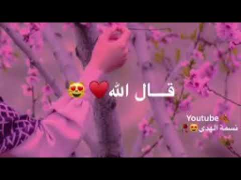 اجمل حالات واتساب عن النبي يوسف عليه السلام قتاه جهاد السفراني