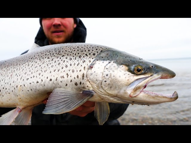 Float Fishing & Bottom Bouncing For Great Lakes Steelhead 