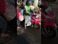 Benih Bawal otw kab. Garut