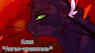 картинка: Коты-воители/Осьролистая/Клип/
