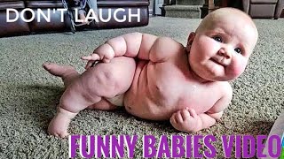 FUNNY KIDS, FUNNY ANIMALS, FUNNY FAILS, TRY NOT TO LAUGH, FUNNY BABIES, VIRAL MEMES