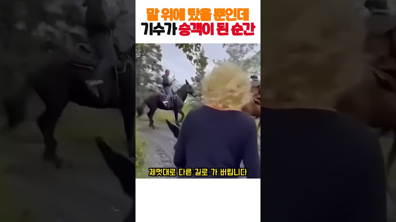 말 위에 탔을 뿐인데 기수를 강제로 승객 만들어버린 통제 불능 말들 ㅋㅋㅋ ㄷㄷ #말 #웃긴동물 #몸개그 #도파민폭발 #힐링