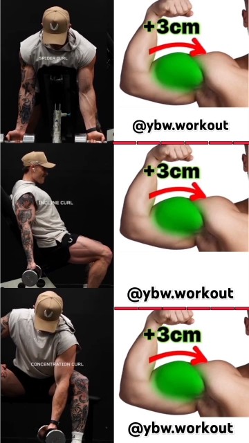 Only 3 exercises you need for quick and guaranteed results 🎯💪🔥 #sports ...