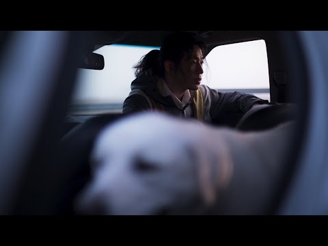 Sasha — James An