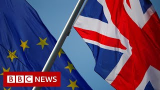 Brexit Ministers Plan Laws Overriding Part Of Withdrawal Deal - Bbc News