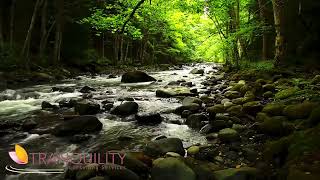 Confidence And Self Esteem Tranquility Counselling Services