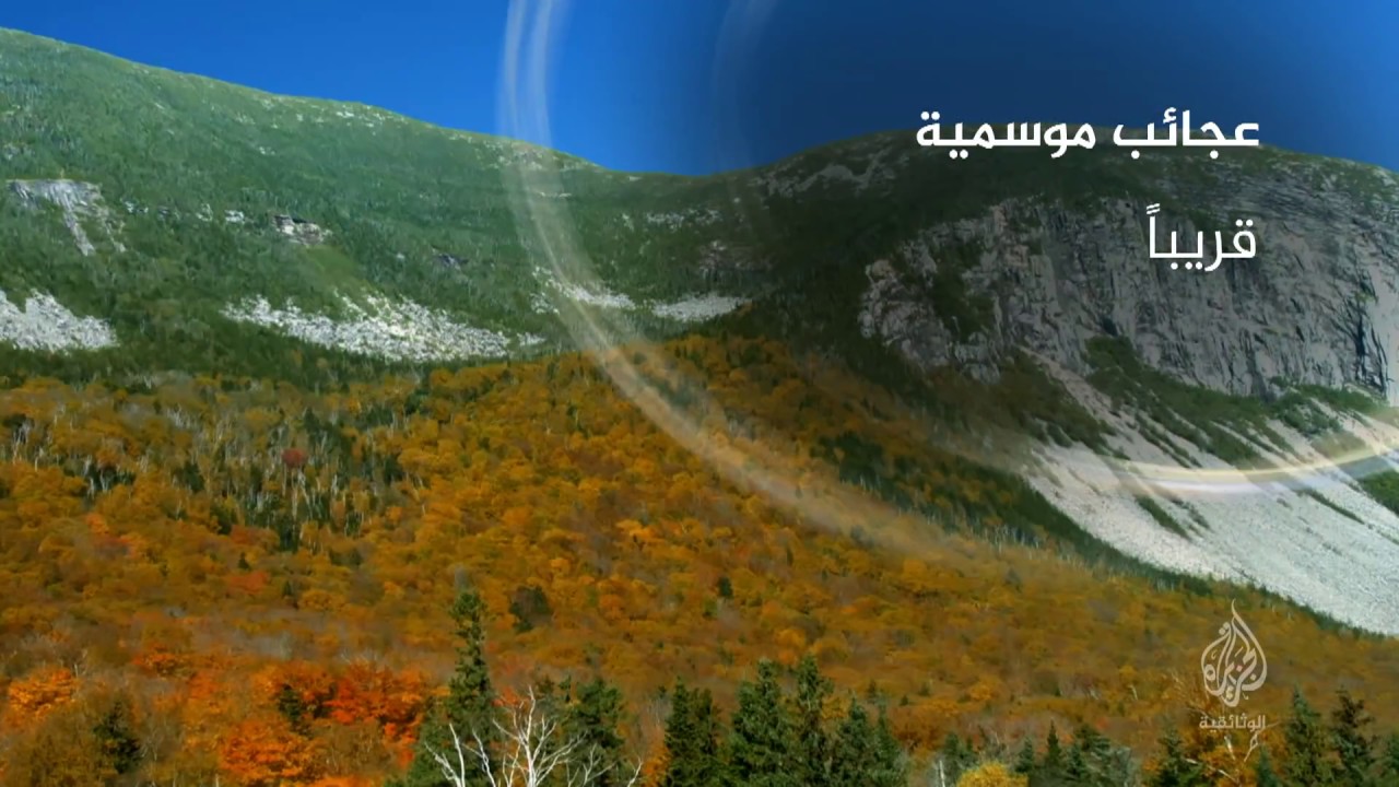 عجائب موسمية (برومو) قريبا..
