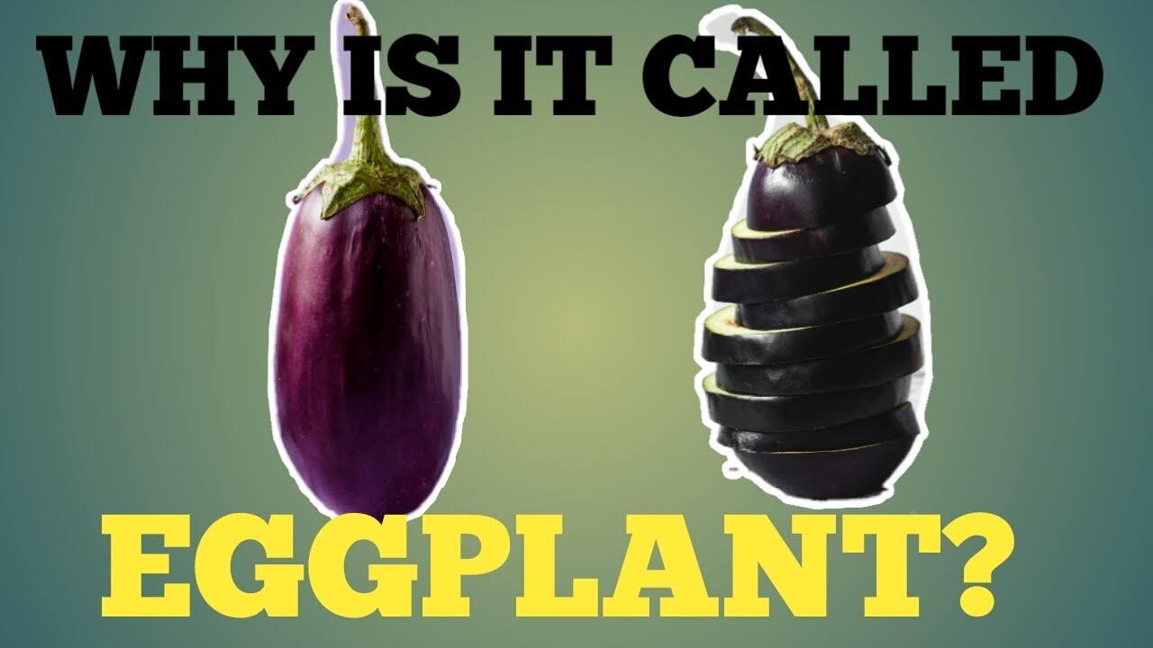 Why Are Eggplants Called Eggplants