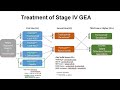 35 First Line Therapy for HER2-, PDL1-, CLDN18.2-  GEA