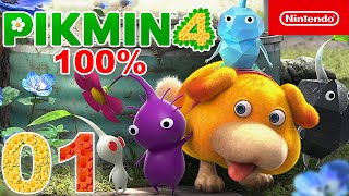 Pikmin 4 - Full Game Walkthrough Part 01 [100%] (HD)