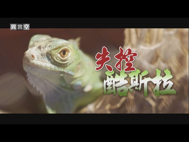 【民視異言堂】失控酷斯拉
