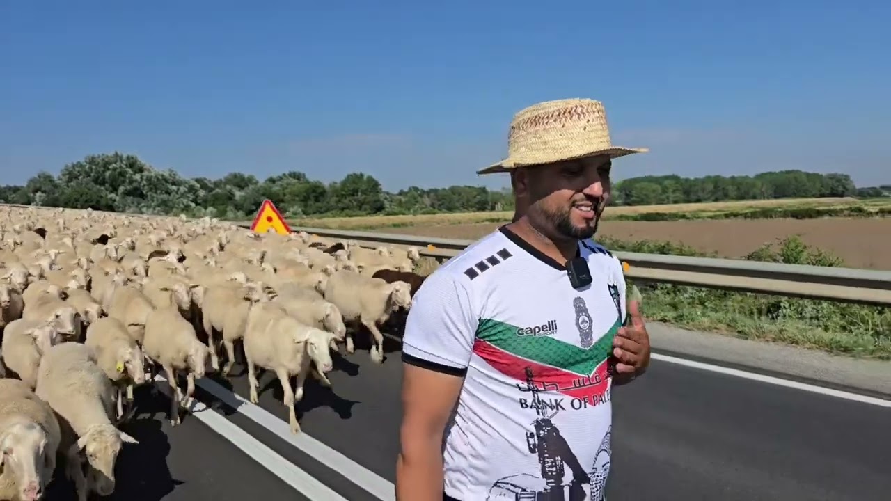 شوفوا الاحترام في حيات راعي الغنم في أروبا وحدين قالك سير تسرح عند سيداك ابوغد