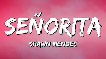 Senorita - Shawn Mendes (Lyrics) || David Kushner , Ava Max... (MixLyrics)