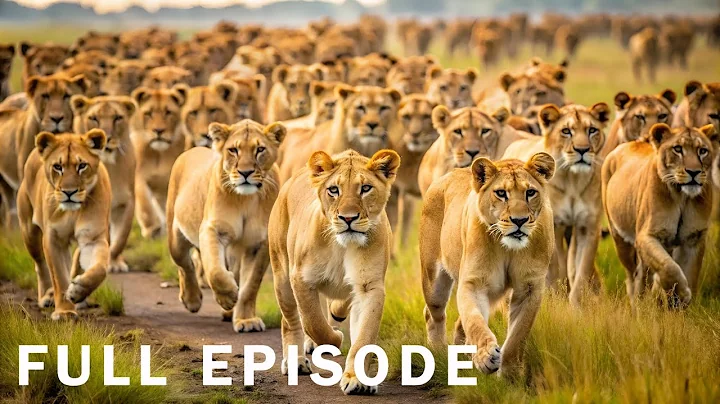 BIG CATS - The Kings Of Their Wild Domains - FULL DOCUMENTARY thumbnail