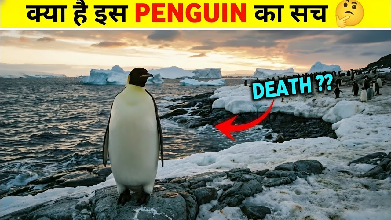 🐧 Viral Penguin Video Explained in Hindi | Penguin Mountain Documentary | Werner Herzog