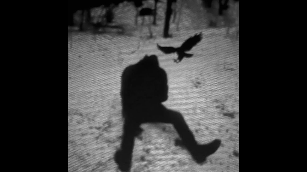 [FREE] Crystal Castles x Witch House x Alice Glass Type Beat - 