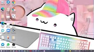 How to use bongo cat as your virtual camera on zoom screenshot 4