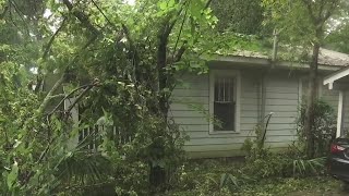 Ida leaves storm damage in Tuscaloosa