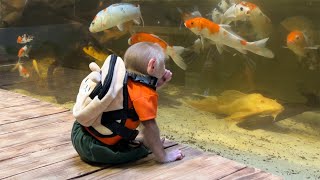 Monkey BiBi ran away from home to play with koi fish!