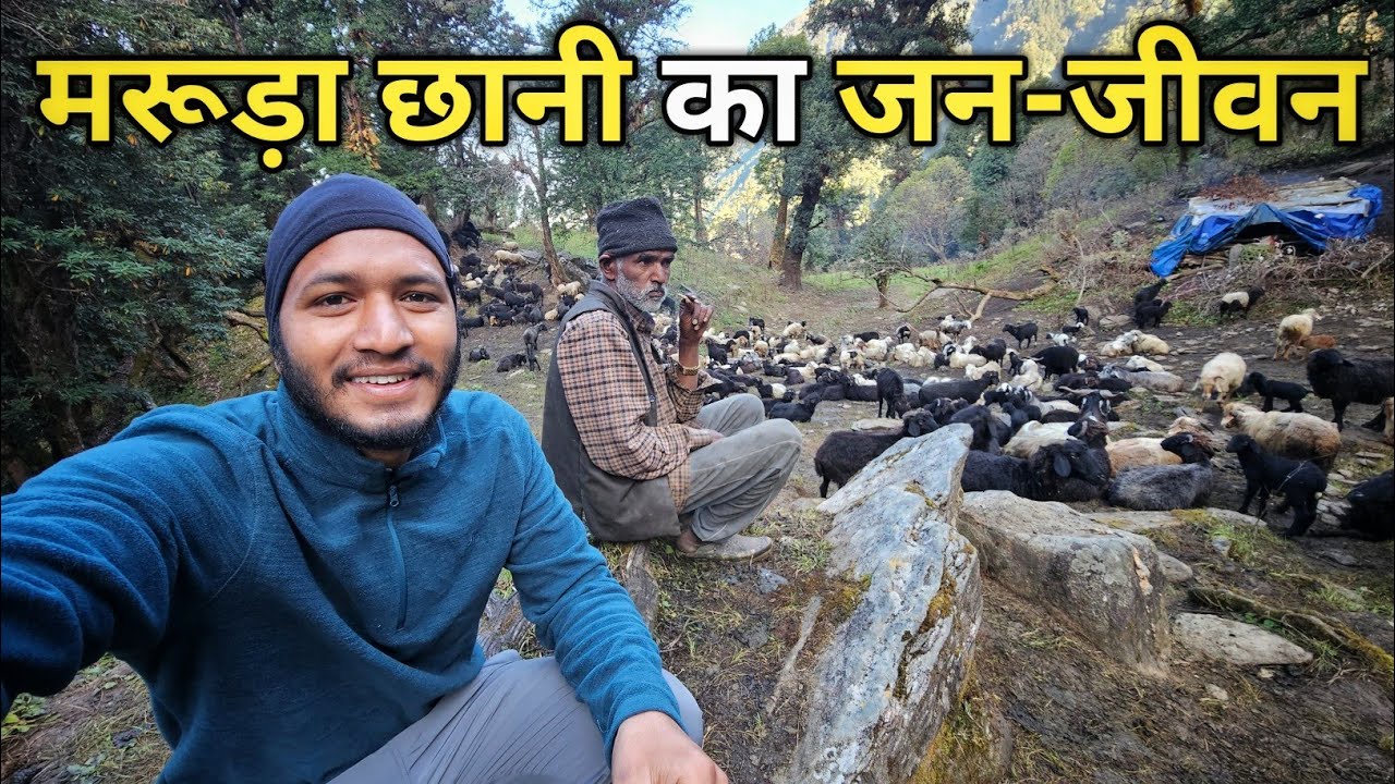 भेड़ बकरी पालकों का मुश्किल भरा जीवन || Vishudi Tal Trek || Pahadi Biker || Alok Rana