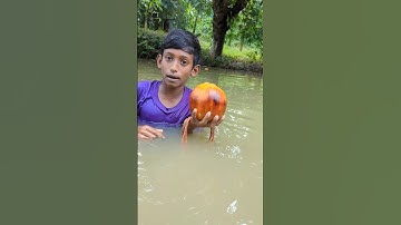 The Big Monster Fish Trap#fish#video