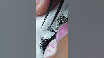 Mega Volume Lashes using @LostArtistryLash pre-fans 🤍 #lashes