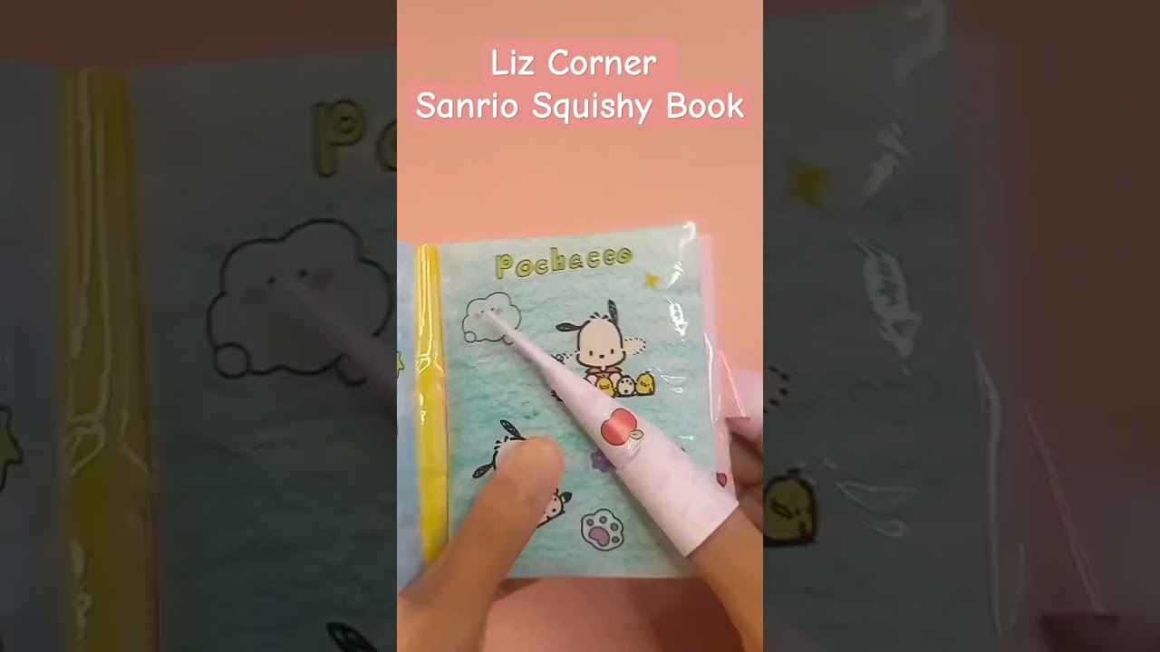 Sanrio Squishy Book Review 