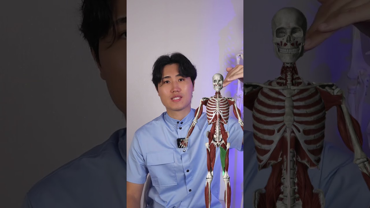 Как быстро снять боль в паху и бедре без таблеток. #упражнения