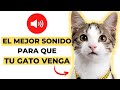 Mejor Sonido para Que tu Gato Venga (GARANTIZADO)✅