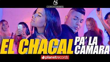 CHACAL - Pa' La Camara (Video Oficial by FREDDY LOONS) Reggaeton Cubano Cubaton