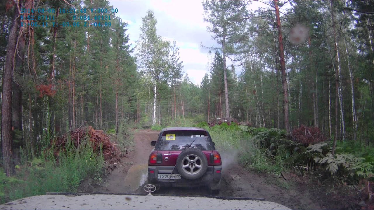 Автомобильный код алтая
