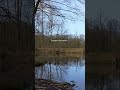 Escape the Noise | Peaceful Lake Ambience #shorts