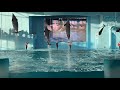 横浜・八景島シーパラダイス イルカショー Animal Life Live!  学マス「学園アイドルマスター 初星パラダイス」楽曲コラボ Ver. ※2025.11.03