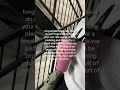 love u!!! Please rest!! #shortvideos #cricutph #matcha #coffee #motivation