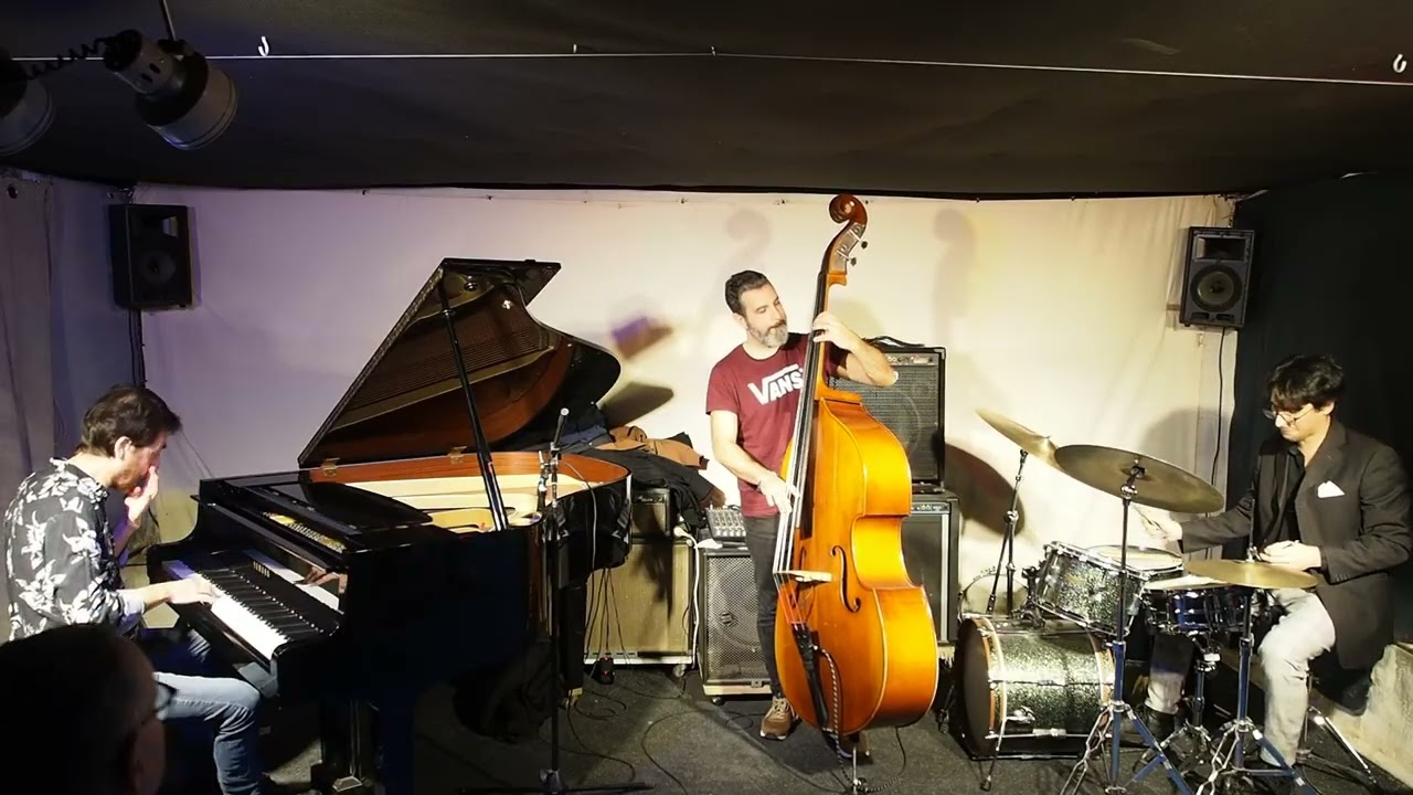 Jellyfish Project - "Douda's dream"