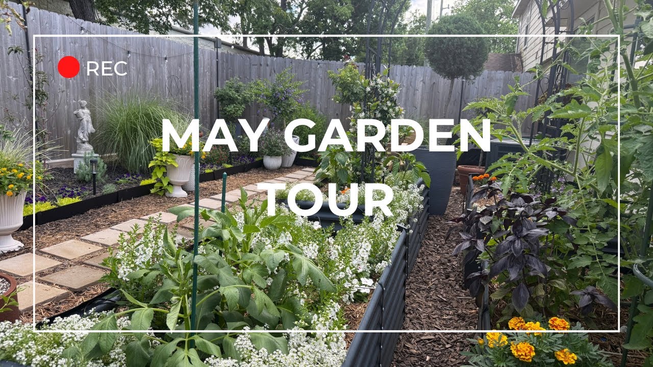 Small Garden Tour|May 2025|Gardening Ideas|Zone 9B|My Secret Garden