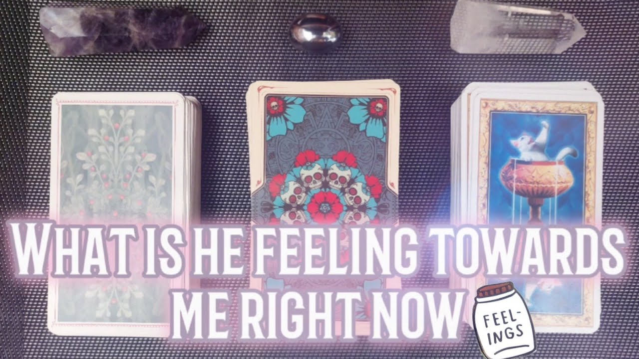 What is he feeling towards me right now. Tarot pick a card reading