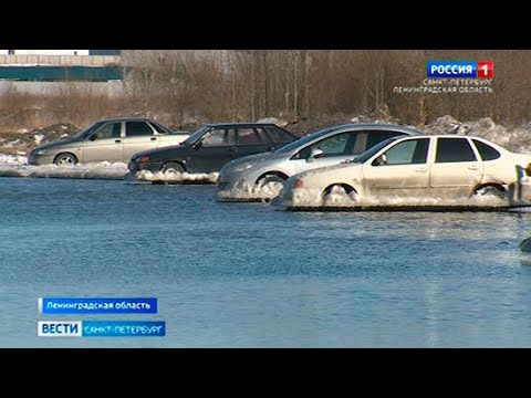 Video: Jedinstveni državni ispit u Sankt Peterburgu 2021. godine