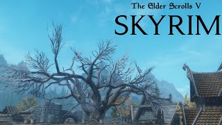 Благословение Кинарет! | Skyrim #9