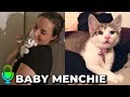 Menchie the Cat as a Kitten