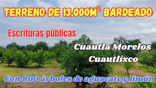 Terreno en Cuautla Morelos, 13,000m², bardeado en su totalidad, escrituras públicas, 