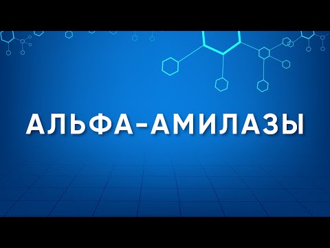 Видео: Будет ли амилаза слюны работать в желудке?